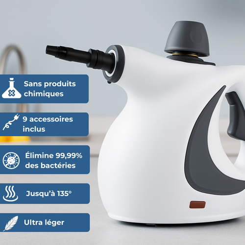 NETTOYEUR VAPEUR-STEAMEO